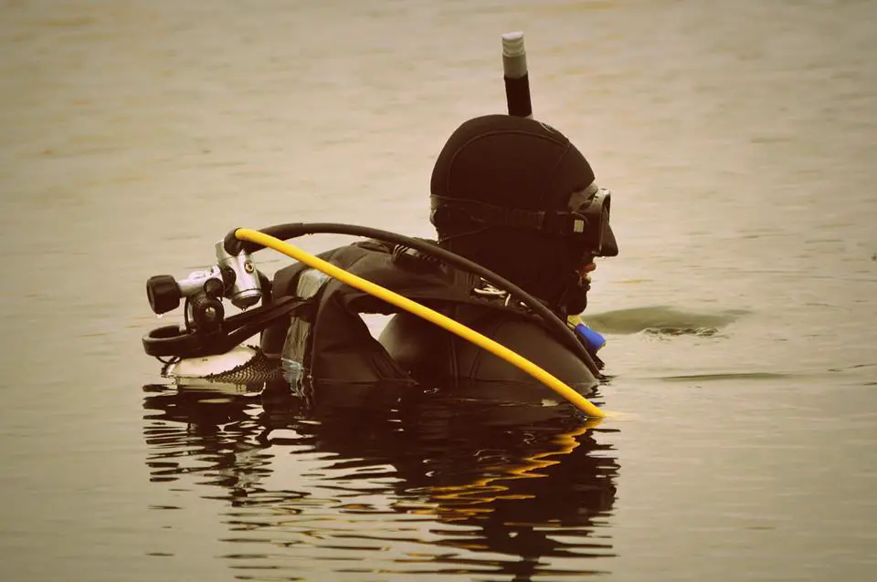 diver-513701_960_720 scuba diver in the water