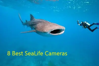 sealife camera