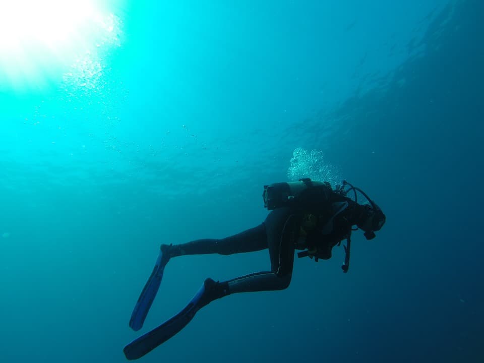 scuba diver