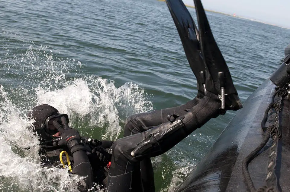 Specialty Dives To Know