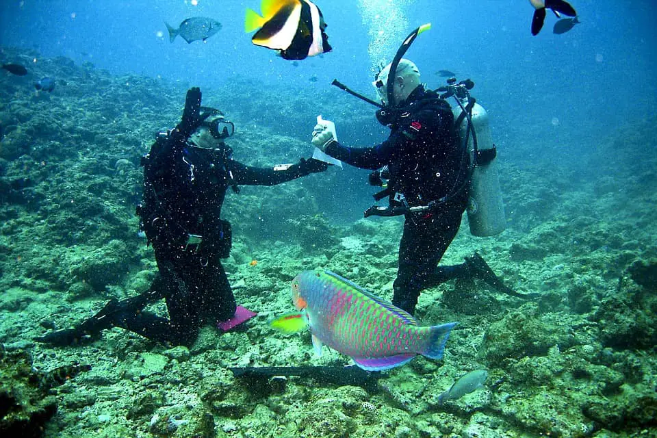 scuba divers