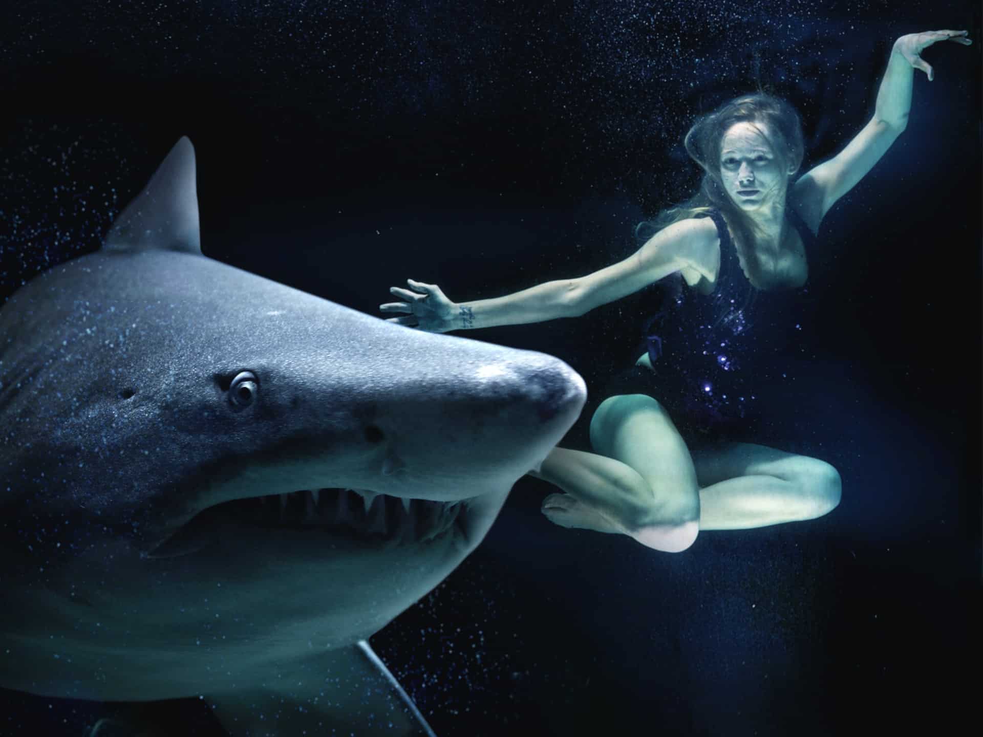 woman diving with shark