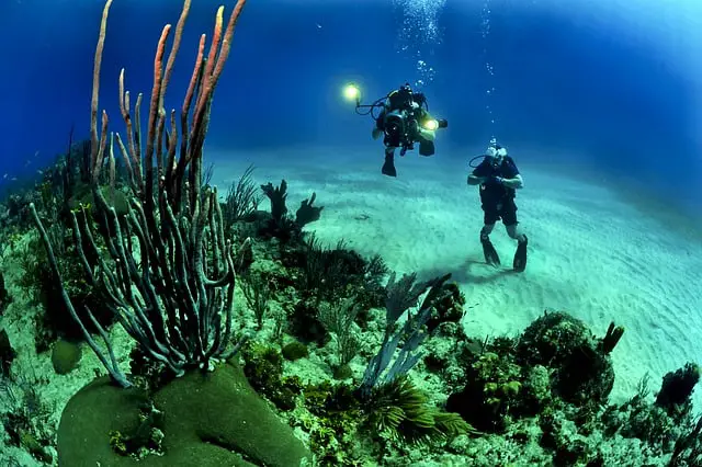 scuba diver is wearing the oceanic scuba gear while diving at the deep blue sea