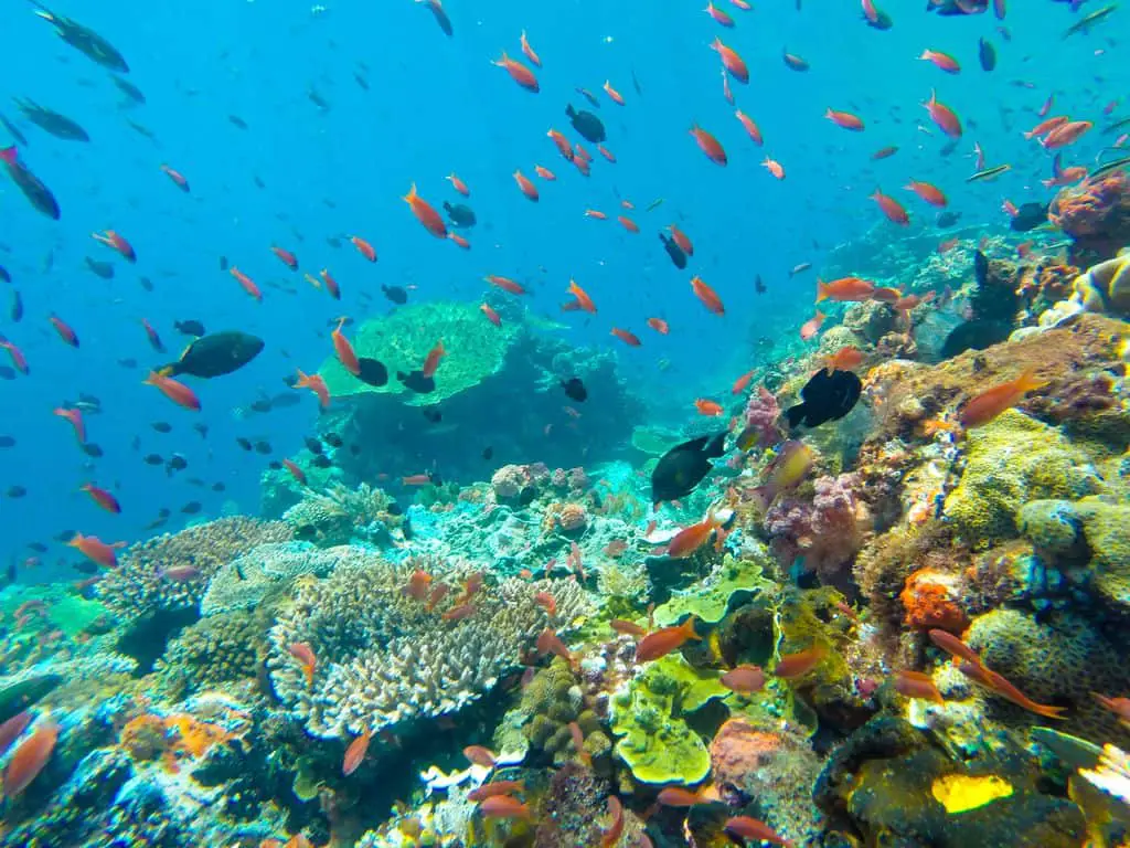 Koh Tao, Thailand