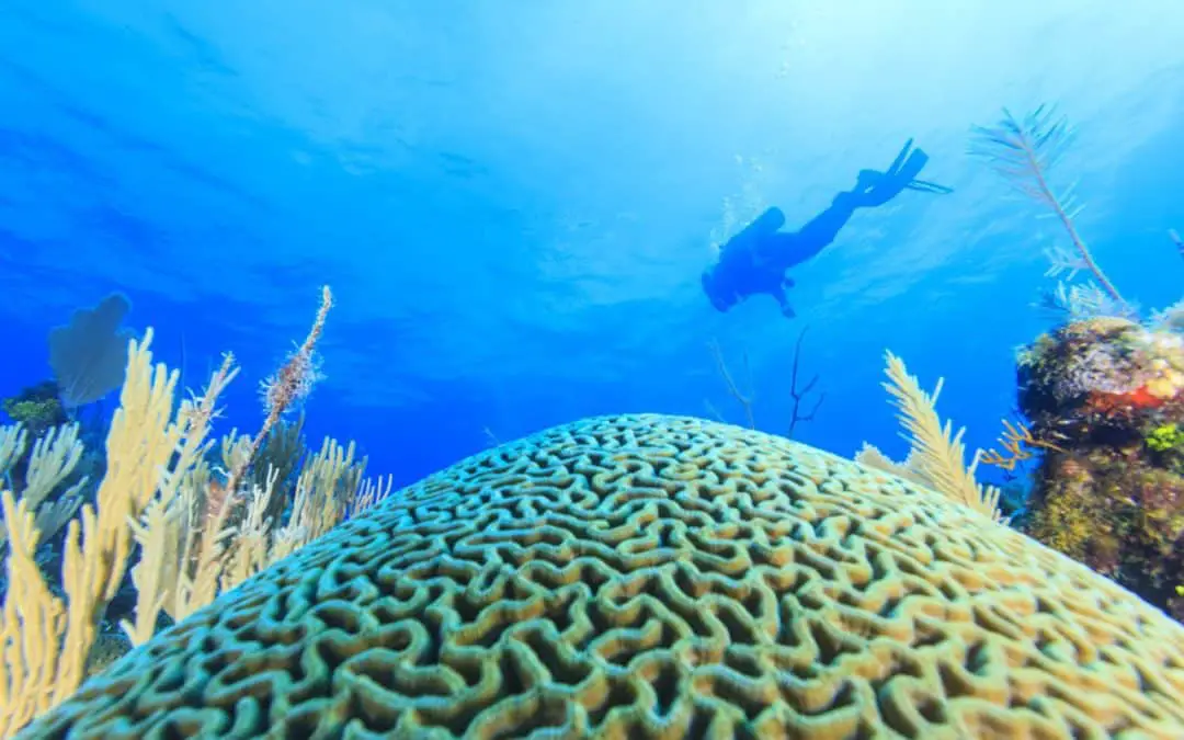 Ambergris Caye, Belize