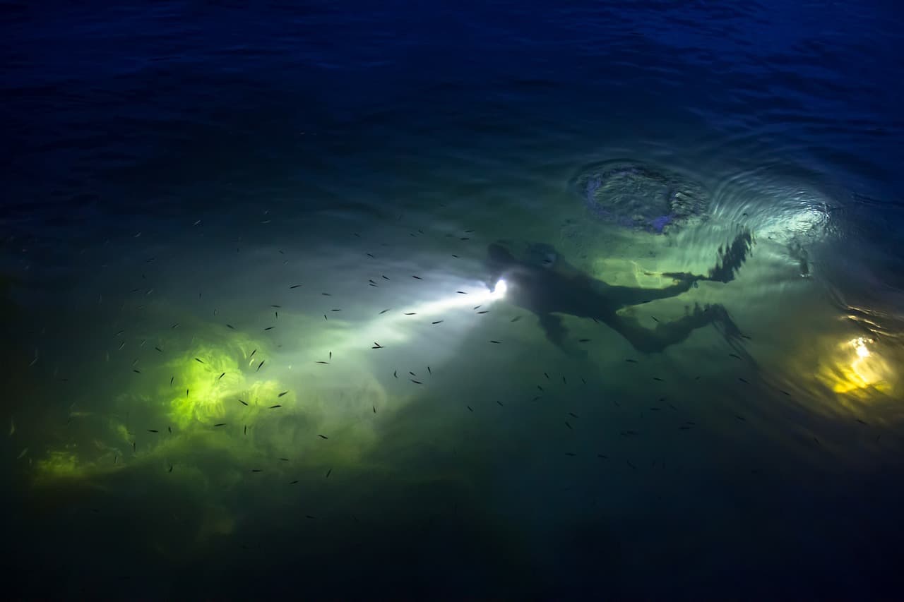 Person swimming during night time