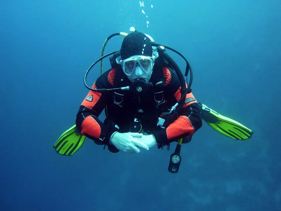 diver under the sea