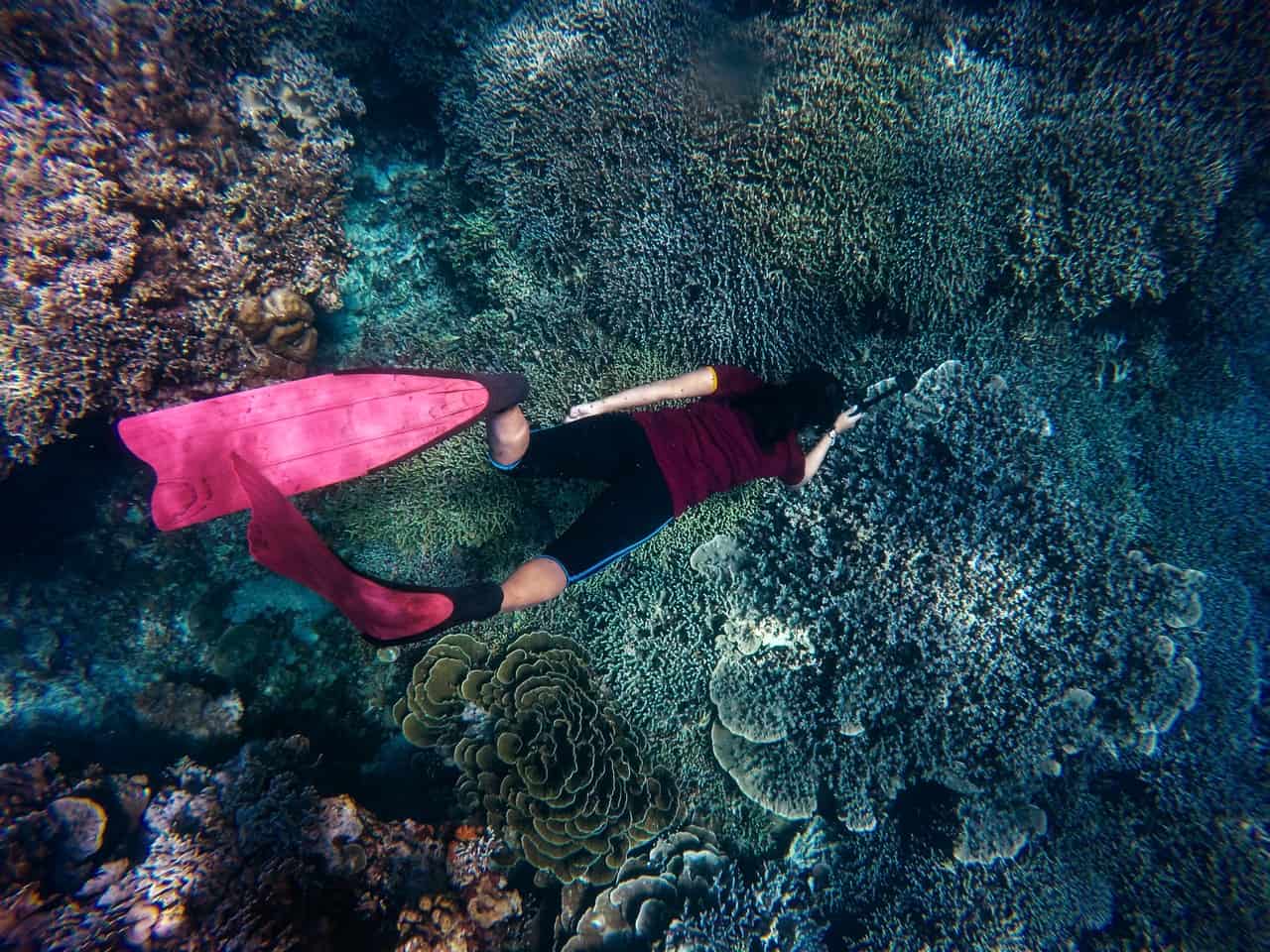 Man doing freediving at deja blue event