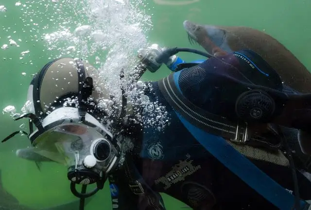 a scuba diver swimming with fishes